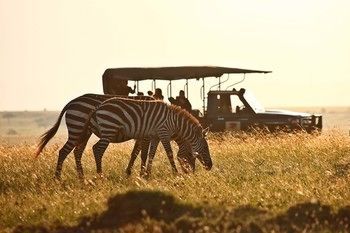 Elephant Pepper Camp Maasai Mara Exteriör bild