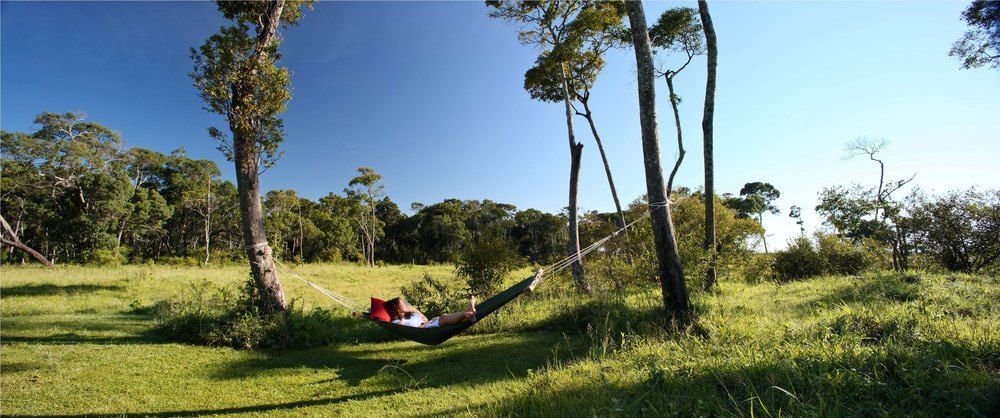 Elephant Pepper Camp Maasai Mara Exteriör bild