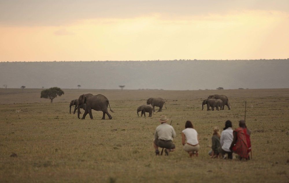 Elephant Pepper Camp Maasai Mara Exteriör bild