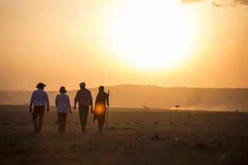Elephant Pepper Camp Maasai Mara Exteriör bild